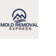 Affordable Mold Removal services at Denver