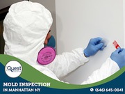 Quest Mold and Asbestos Inspections and Testing of Manhattan